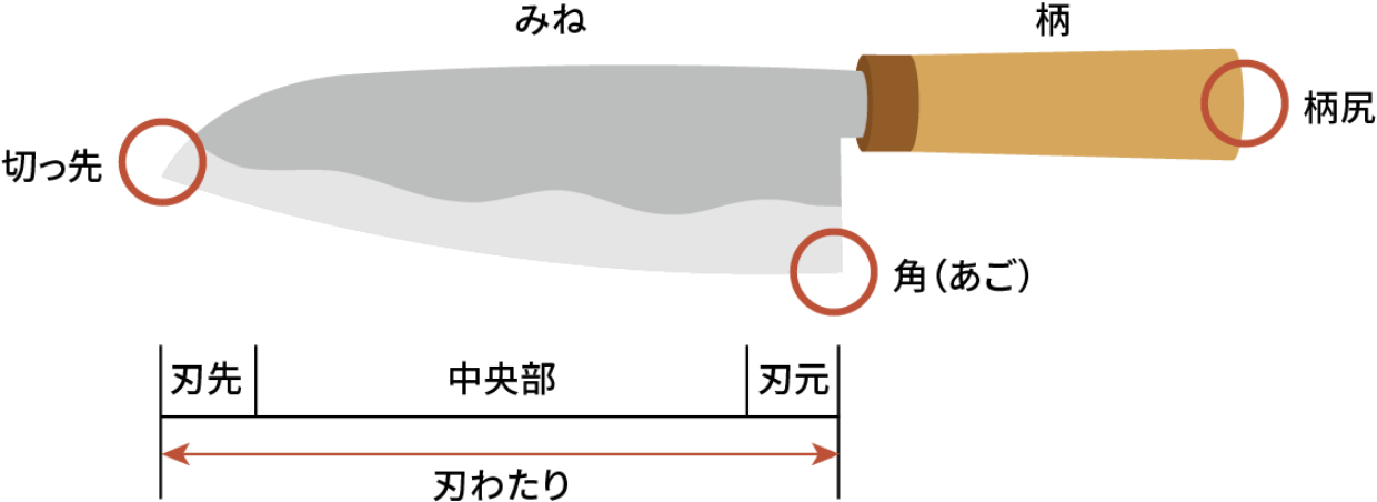 包丁の各部分 切っ先、みね、角（あご）、柄、柄尻